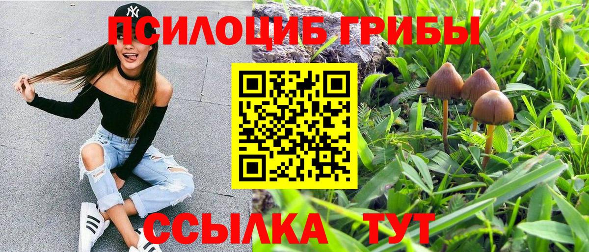 Псилоцибиновые грибы мицелий  Псилоцибиновые грибы GOLDEN TEACHER  Вход с VPN  Владивосток 